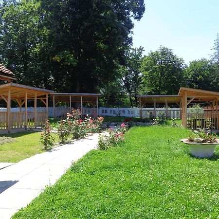 Pensiunea Radu Cisnadie Номер фото
